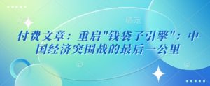付费文章:重启”钱袋子引擎”:中国经济突围战的最后一公里-阳知网创资源库