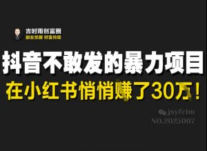 抖音不敢发的暴利项目,在小红书悄悄挣了30W-阳知网创资源库