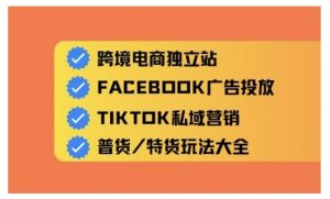 跨境电商独立站及全域流量营销,从0基础快速入门并精通跨境电商运营-阳知网创资源库