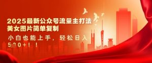 2025最新公众号流量主打法,美女图片简单复制,小白也能上手,轻松日入5张-阳知网创资源库
