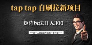 taptap拉新自刷项目,一个新用户14元,矩阵玩法日入300+-阳知网创资源库