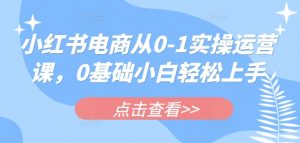 小红书电商从0-1实操运营课，0基础小白轻松上手-阳知网创资源库
