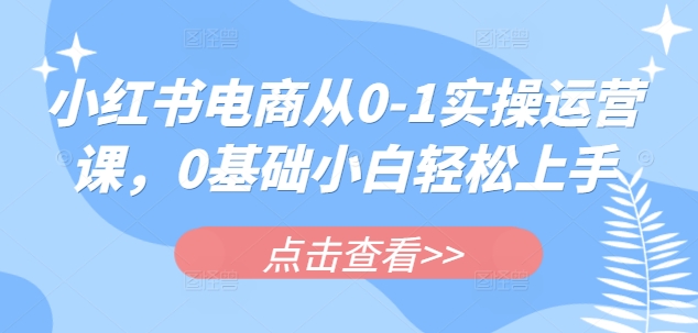 小红书电商从0-1实操运营课,0基础小白轻松上手-阳知网创资源库