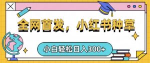小红书种草,手机项目,日入3张,复制黏贴即可,可矩阵操作,动手不动脑【揭秘】-阳知网创资源库
