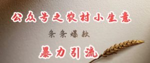 deepseek写农村小项目，条条爆款，暴力引流-阳知网创资源库