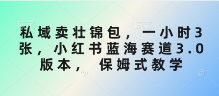 私域卖壮锦包,一小时3张,小红书蓝海赛道3.0版本, 保姆式教学-阳知网创资源库
