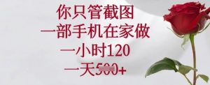 你只管截图，一部手机在家做，一小时120.一天5张【揭秘】-阳知网创资源库
