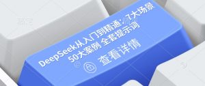 DeepSeek从入门到精通:7大场景 50大案例 全套提示词【文档】-阳知网创资源库