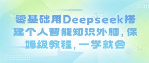 零基础用Deepseek搭建个人智能知识外脑，保姆级教程，一学就会-阳知网创资源库