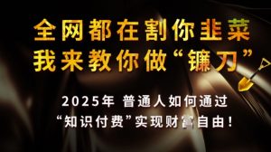 全网都在割你韭菜,我来教你做镰刀,2025普通人如何通过知识付费,实现财F自由【揭秘】-阳知网创资源库