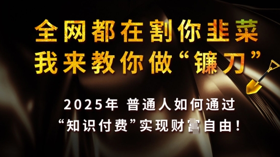 全网都在割你韭菜,我来教你做镰刀,2025普通人如何通过知识付费,实现财F自由【揭秘】-阳知网创资源库