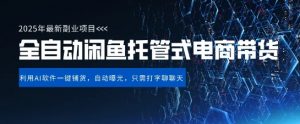 【闲鱼全自动电商带货】三年磨一剑,一朝露锋芒,长期稳定项目,单日稳定变现5张【揭秘】-阳知网创资源库