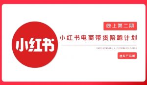 2025小红书虚拟电商实战课,从0到1打造无货源店铺,AI+爆款笔记轻松变现-阳知网创资源库