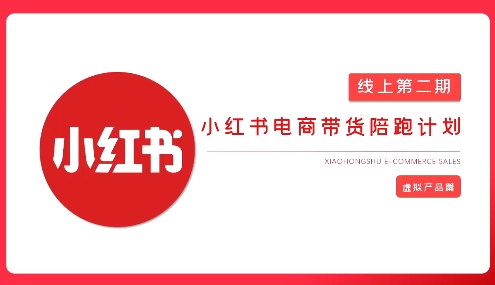 2025小红书虚拟电商实战课,从0到1打造无货源店铺,AI+爆款笔记轻松变现-阳知网创资源库