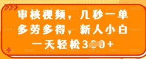 审核视频，几秒一单，多劳多得，新人小白一天轻松3张【揭秘】-阳知网创资源库
