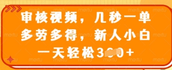 审核视频，几秒一单，多劳多得，新人小白一天轻松3张【揭秘】-阳知网创资源库