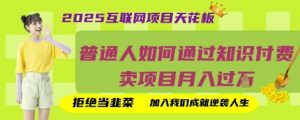2025互联网项目天花板,普通人如何通过知识付费卖项目月入过W,拒绝当韭菜【揭秘】-阳知网创资源库