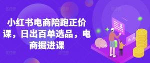 小红书电商陪跑正价课,小红书官方认证电商讲师教学,日出百单选品,电商掘进课-阳知网创资源库