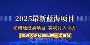 2025蓝海项目,普通人如何通过卖项目,实现月入过W,全过程【揭秘】-阳知网创资源库