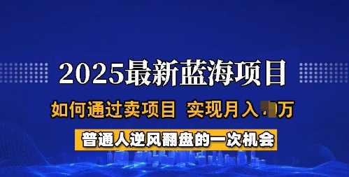 2025蓝海项目,普通人如何通过卖项目,实现月入过W,全过程【揭秘】-阳知网创资源库