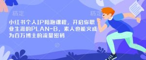 小红书个人IP陪跑课程,开启你职业生涯的PLAN-B,素人也能火成为百万博主的流量密码-阳知网创资源库