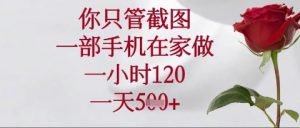 你只管截图,一部手机在家操作,一小时120.一天5张【揭秘】-阳知网创资源库