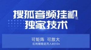 【搜狐音频挂G】独家技术,可矩阵可放大,红利期稳定月入8k【揭秘】-阳知网创资源库