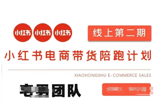 小红书电商带货课2期,月利润20个的小红书电商的有货源,无货源,虚拟产品,付费投流等整套玩法-阳知网创资源库