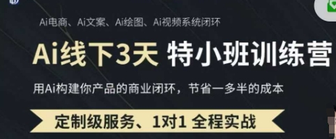 AI实操培训第20-21期线下,0基础保姆级教程,3月最新整理,企业获客、降本增效、打造超级个体-阳知网创资源库