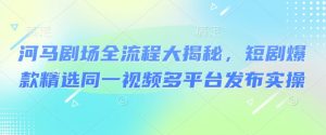 河马剧场全流程大揭秘，短剧爆款精选同一视频多平台发布实操-阳知网创资源库