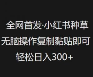 全网首发,小红书种草无脑操作,复制黏贴即可,轻松日入3张-阳知网创资源库
