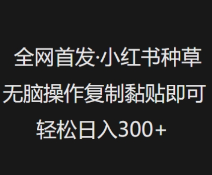 全网首发,小红书种草无脑操作,复制黏贴即可,轻松日入3张-阳知网创资源库