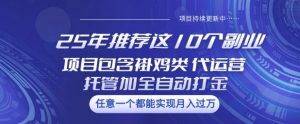 25年推荐这10个副业项目包含褂鸡类、代运营托管类、全自动打金类【揭秘】-阳知网创资源库