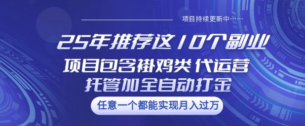25年推荐这10个副业项目包含褂鸡类、代运营托管类、全自动打金类【揭秘】-阳知网创资源库