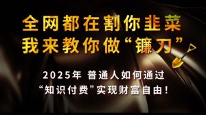 全网都在割你韭菜,我来教你做镰刀,2025普通人如何通过知识付费,实现财F自由【揭秘】-阳知网创资源库