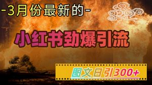 小红书超劲爆引流手段,图文日引300+轻松变现1W-阳知网创资源库
