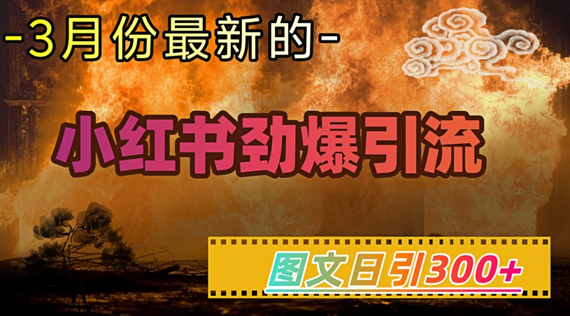 小红书超劲爆引流手段,图文日引300+轻松变现1W-阳知网创资源库