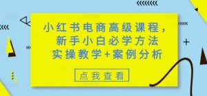 小红书电商高级课程,新手小白必学方法,实操教学+案例分析-阳知网创资源库