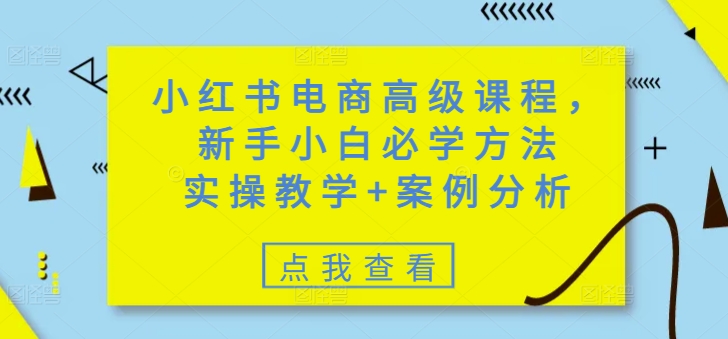 小红书电商高级课程,新手小白必学方法,实操教学+案例分析-阳知网创资源库