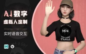 Ai数字人虚拟(智能体)实时语音交互特训营,自行定制超写实角色AI数字人交互技术-阳知网创资源库