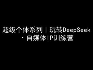 超级个体系列,玩转DeepSeek·自媒体IP训练营,deepseek教程-阳知网创资源库
