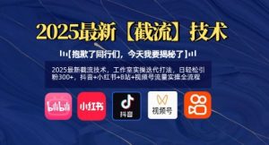 2025最新截流技术,工作室实操迭代打法,日轻松引粉300+,抖音+小红书+B站+视频号流量实操全流程-阳知网创资源库