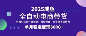 全网首发【闲鱼全自动电商带货】三年磨一剑,一朝露锋芒,单月稳定变现8k+【揭秘】-阳知网创资源库