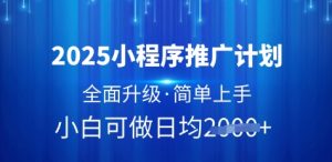 2025小程序推广计划,全面升级,简单上手,日均多张【揭秘】-阳知网创资源库