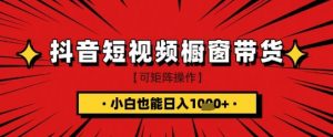 抖音短视频食品橱窗带货,小白轻松上手日入1k+【揭秘】-阳知网创资源库