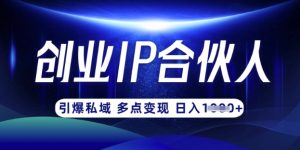 云帆·创业ip合伙人打造3.0,从0到1教你做网创,实现月入过W-阳知网创资源库