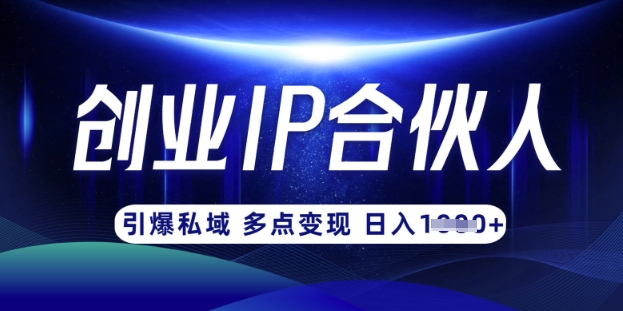 云帆·创业ip合伙人打造3.0,从0到1教你做网创,实现月入过W-阳知网创资源库