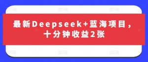 最新Deepseek+蓝海项目，十分钟收益2张-阳知网创资源库