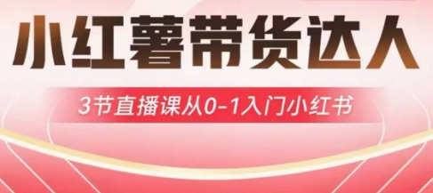 小红薯达人带货启航计划,3节直播课从0-1入门小红书-阳知网创资源库