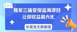 独家三端变现蓝海项目，让你收益最大化，长尾流无限躺挣-阳知网创资源库